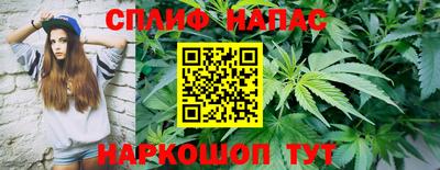 бошки Будённовск