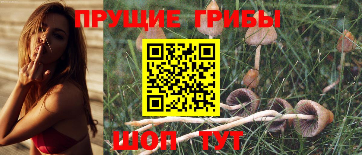 Псилоцибиновые грибы Cubensis Лыткарино